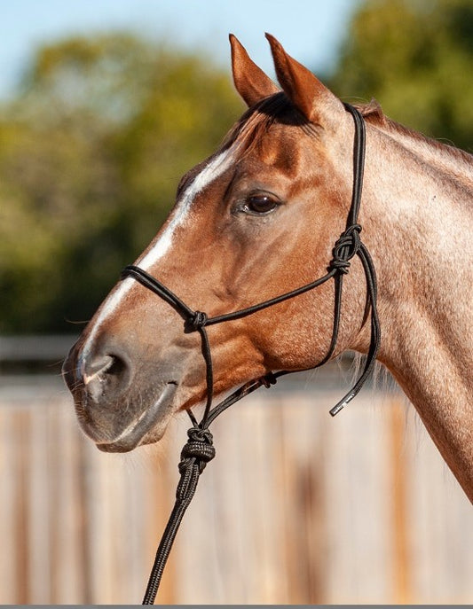 Classic Equine Rope Halter with Lead Rope - Black