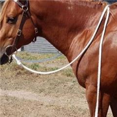 Campdraft 5/8"x 7' fishtail braid Silver Rope