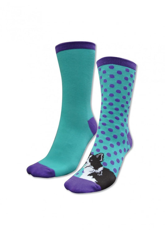 Kids Homestead Socks Twin Packs Purple/Turquoise